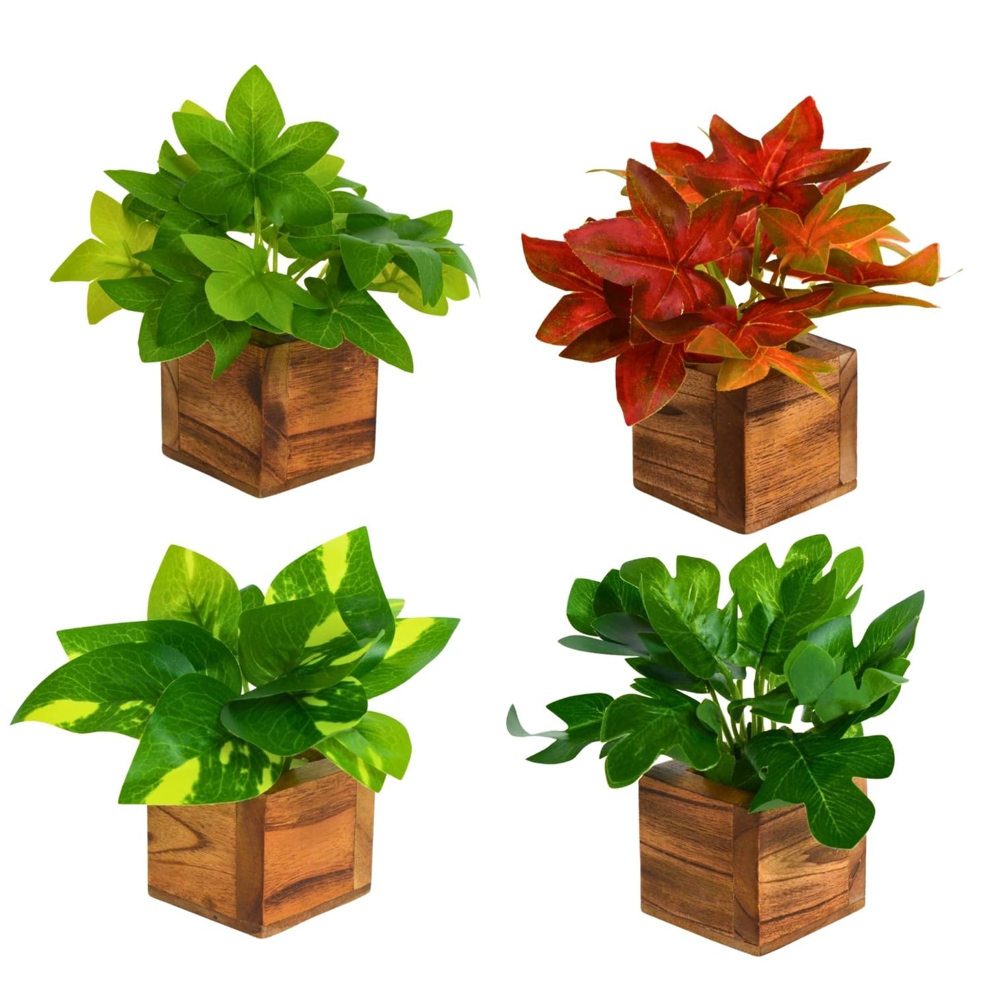 DecoreBugs Artificial Greenery Leave Set in Wooden Pot (4 Pack) Mini Potted Plants for Home Decor, Office Desk, Shelf Decoration, Indoor Small Fake Eucalyptus