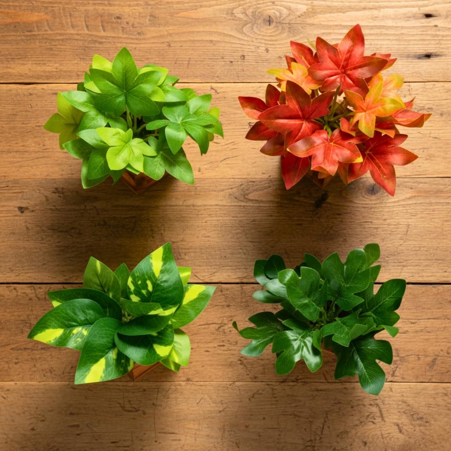 DecoreBugs Artificial Greenery Leave Set in Wooden Pot (4 Pack) Mini Potted Plants for Home Decor, Office Desk, Shelf Decoration, Indoor Small Fake Eucalyptus