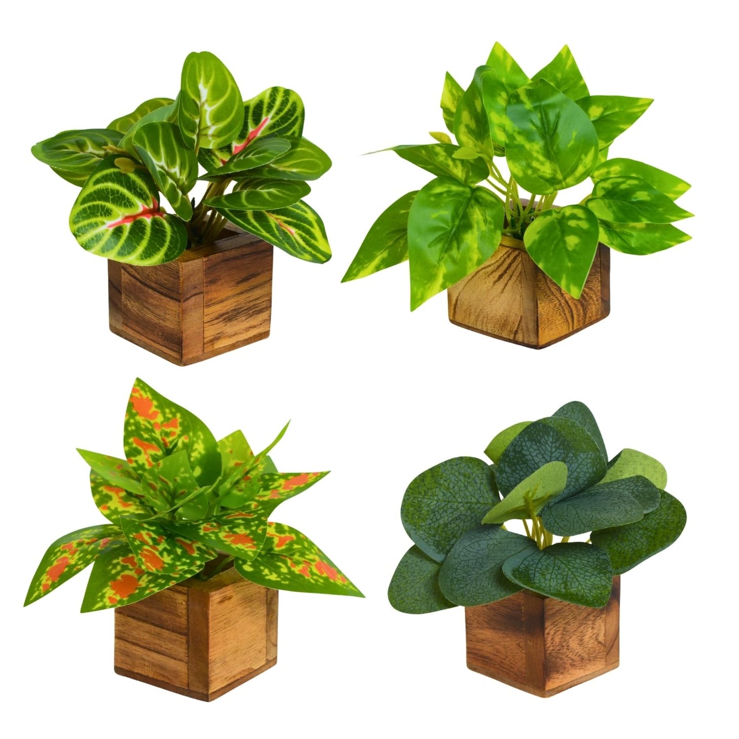 DecoreBugs Artificial Greenery Leave Set in Wooden Pot (4 Pack) Mini Potted Plants for Home Decor, Office Desk, Shelf Decoration, Indoor Small Fake Eucalyptus